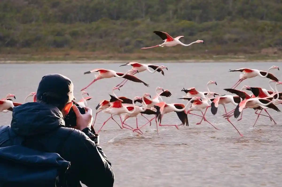 Устье реки Сенгва (Sengwa River Mouth)